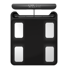 Emerson SmartWeight Body Scale